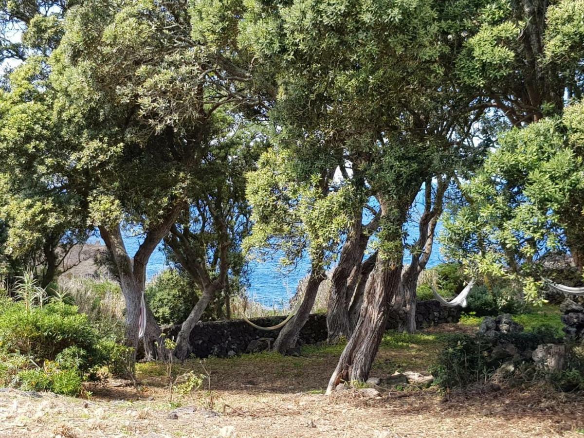 Quinta Da Falesia - Casa Amarela Понта-Делгада Экстерьер фото
